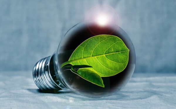 Che cos’è il conto energia e che impatto ha sull’ambiente