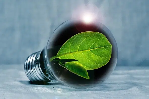 Che cos’è il conto energia e che impatto ha sull’ambiente